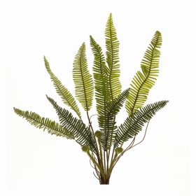 Fern Plant (Set of 6) 17.5"H Plastic