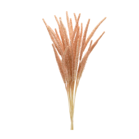 Foxtail Bundle