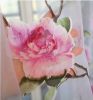Window Sheer Curtains Panel