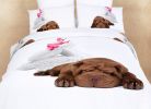 Queen Size Duvet Cover Sheets Set