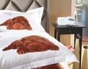 Queen Size Duvet Cover Sheets Set